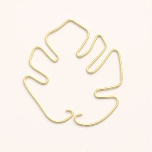 Enhanced main product image