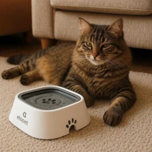 Vandskål til Kæledyr - Anti Spild Design med Høj Kvalitet og Stabilitet, Ideel til Hunde og Katte, 600g: A different realistic living room setting where the pet water bowl is securely positioned on a carpeted floor beside a lounging cat, naturally placed as part of a pet-friendly area, with proper physics, shadows, and realistic integration into the cozy environment.